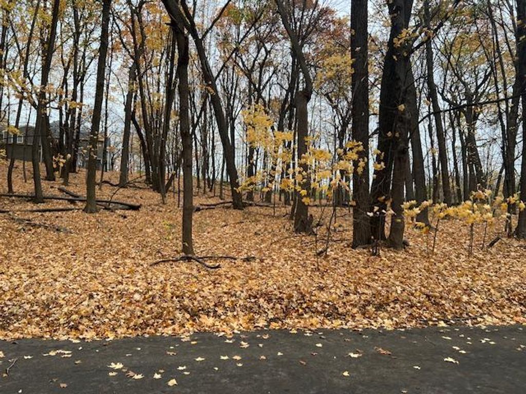 Photo of 5480 Radisson Entrance, Shorewood, MN 55331 (MLS # 7059131)