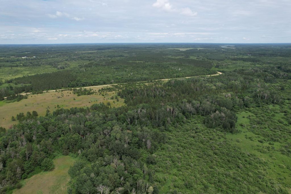 Photo of TBD- 350th Street, Menahga, MN 56464 (MLS # 7107979)