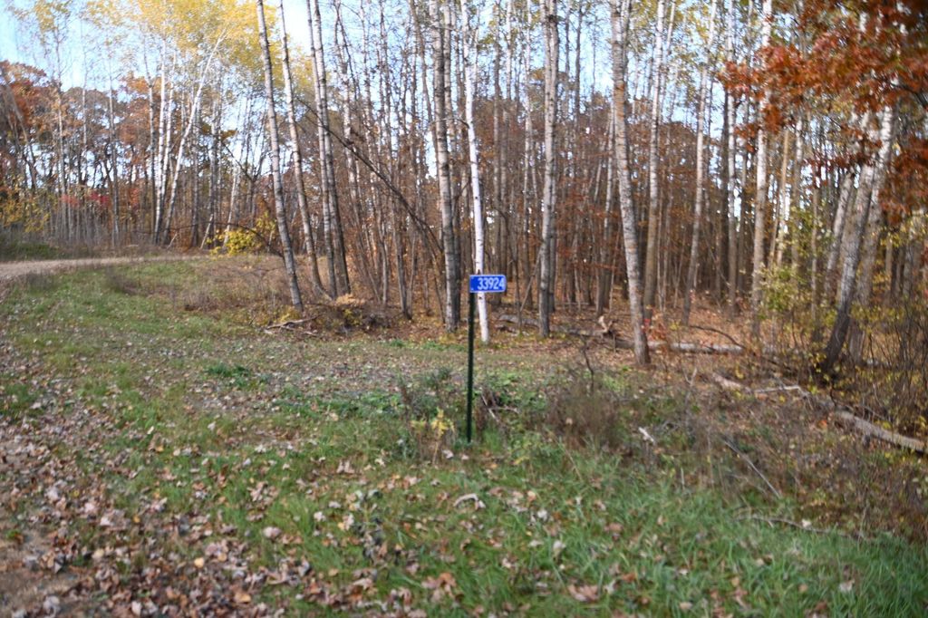 Photo of 39924 Oriole Court, Browerville, MN 56438 (MLS # 7034472)