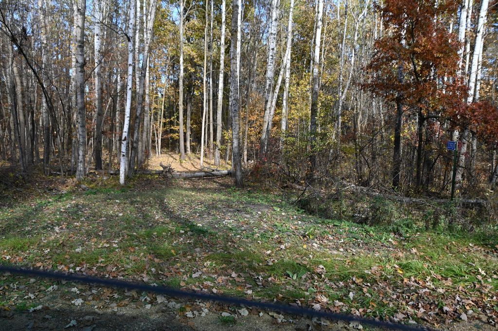 Photo of 39924 Oriole Court, Browerville, MN 56438 (MLS # 7034472)