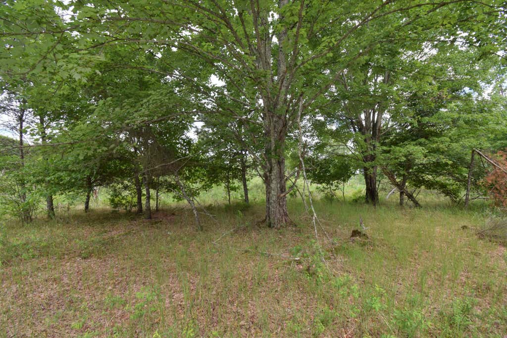 Photo of 25385 Spaulding Road, Grantsburg, WI 54840 (MLS # 7095338)