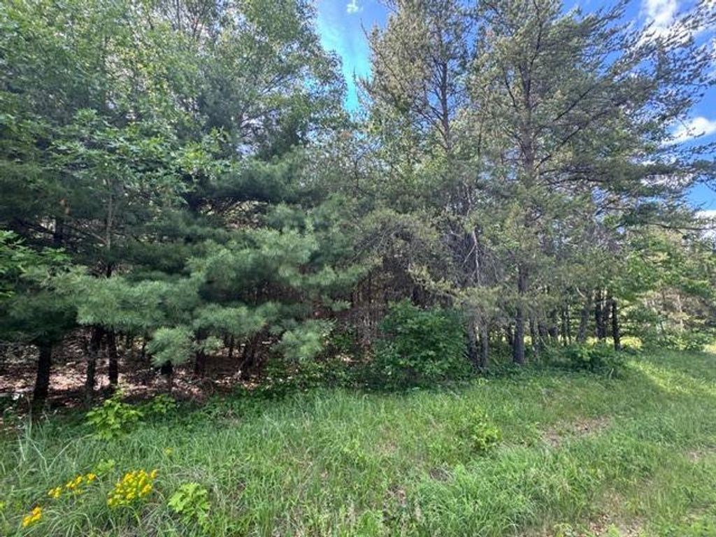 Photo of 25385 Spaulding Road, Grantsburg, WI 54840 (MLS # 7095338)