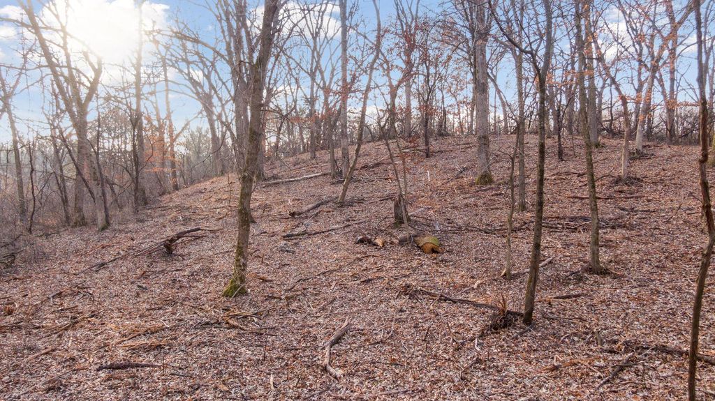 Photo of 10700 68th Street Court S, Cottage Grove, MN 55016 (MLS # 7056567)