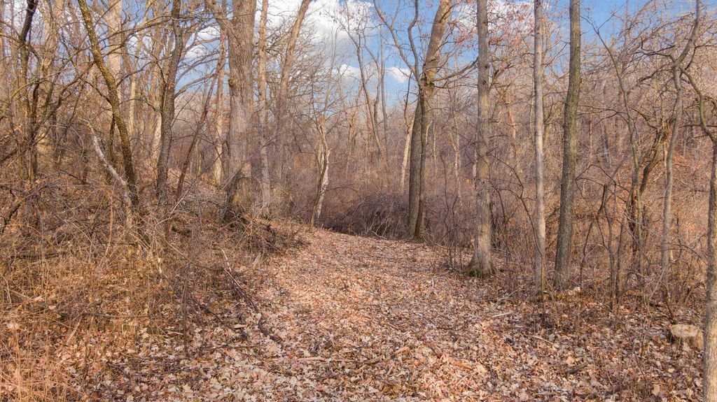 Photo of 10700 68th Street Court S, Cottage Grove, MN 55016 (MLS # 7056567)