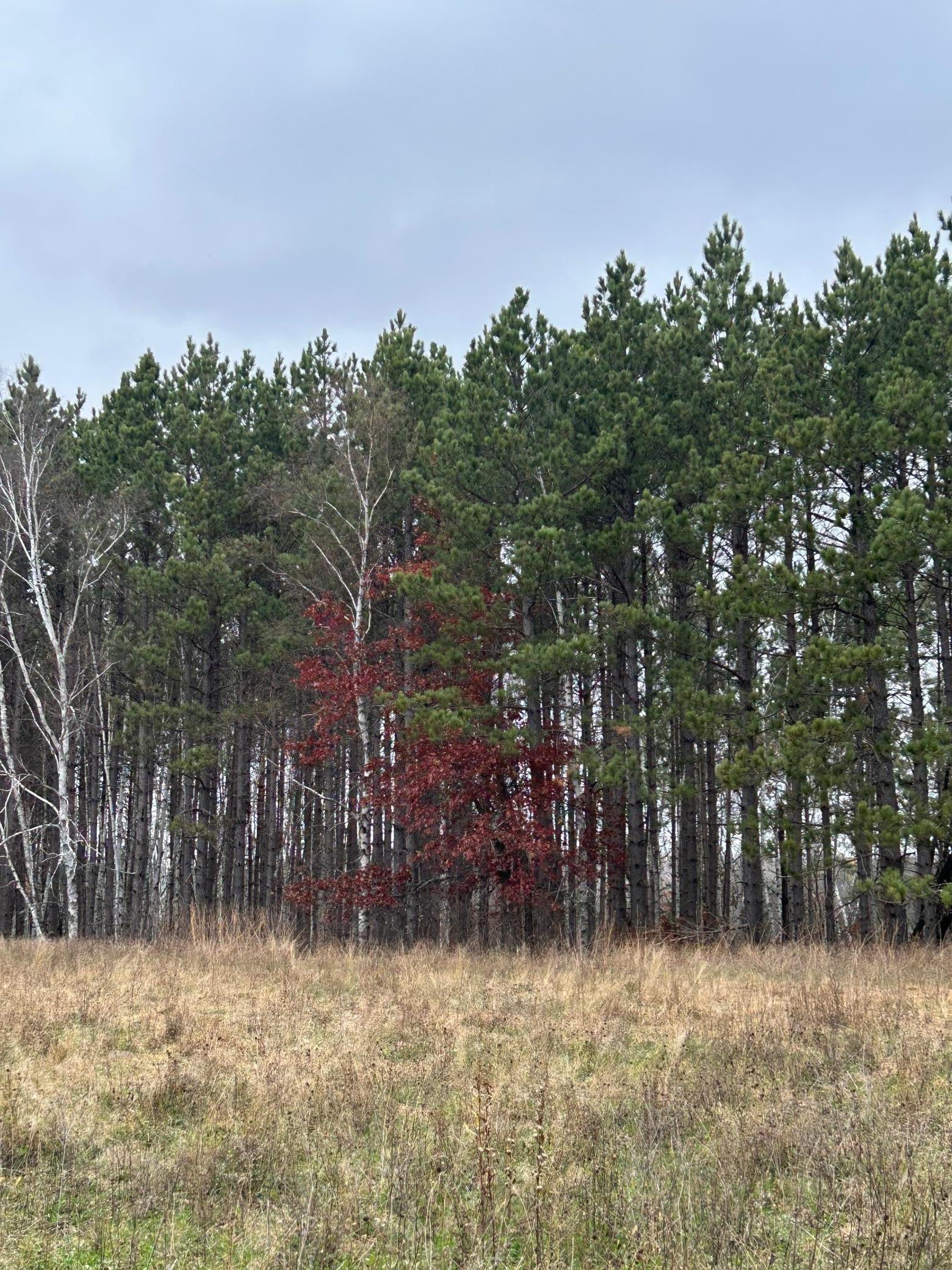 160 AC Basswood Lake Road