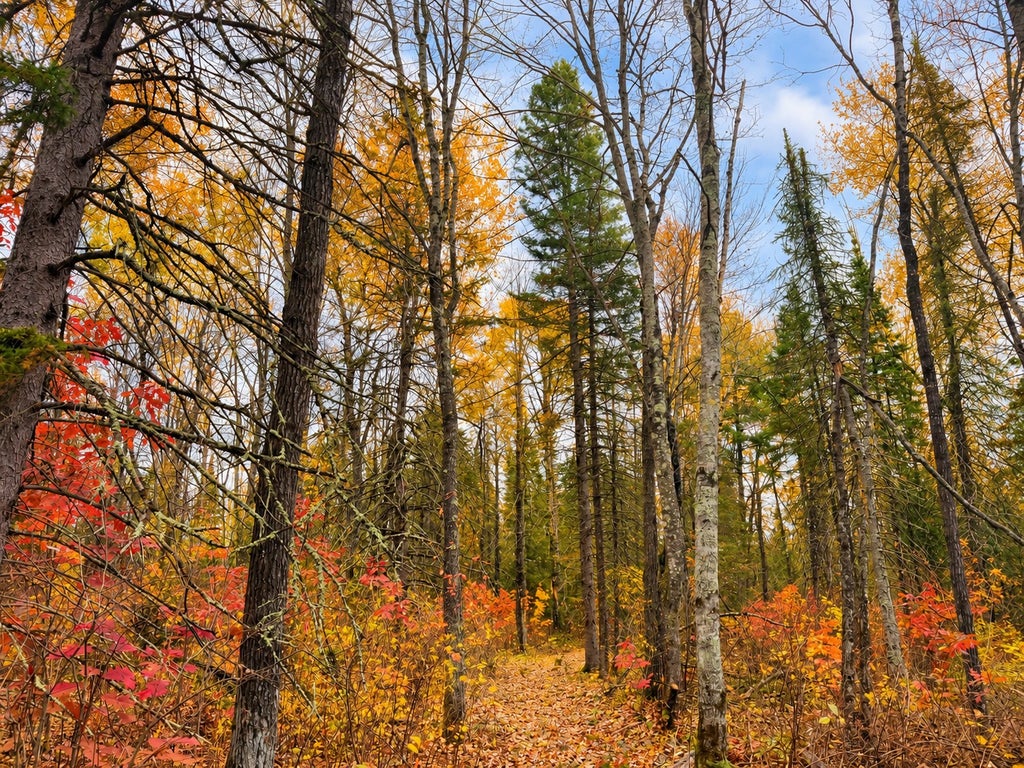 Photo of Parcel 1 County Road A, Solon Springs, WI 54873 (MLS # 7161368)