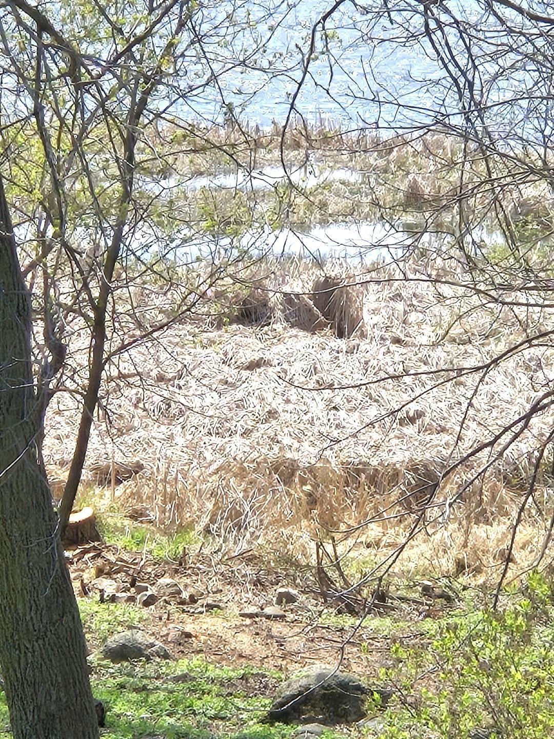 11365 Platt Avenue SW