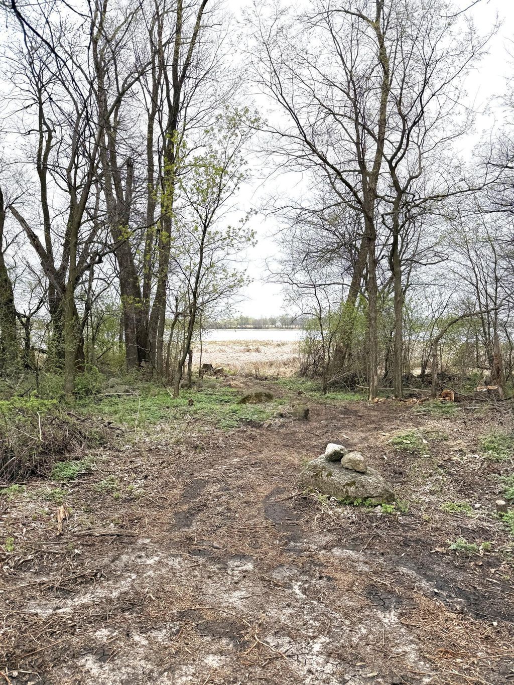 Photo of 11365 Platt Avenue SW, Cokato, MN 55321 (MLS # 7021582)