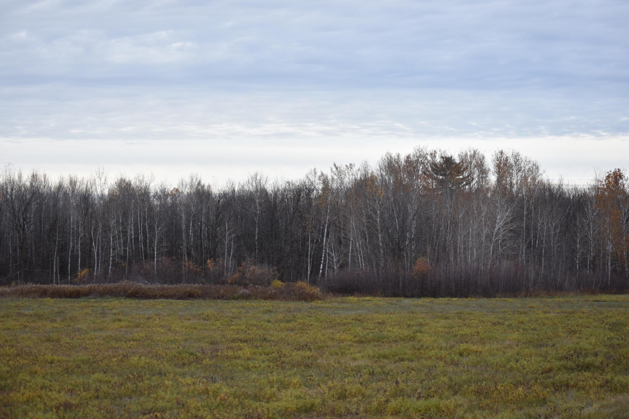 TBD 32nd Street SW