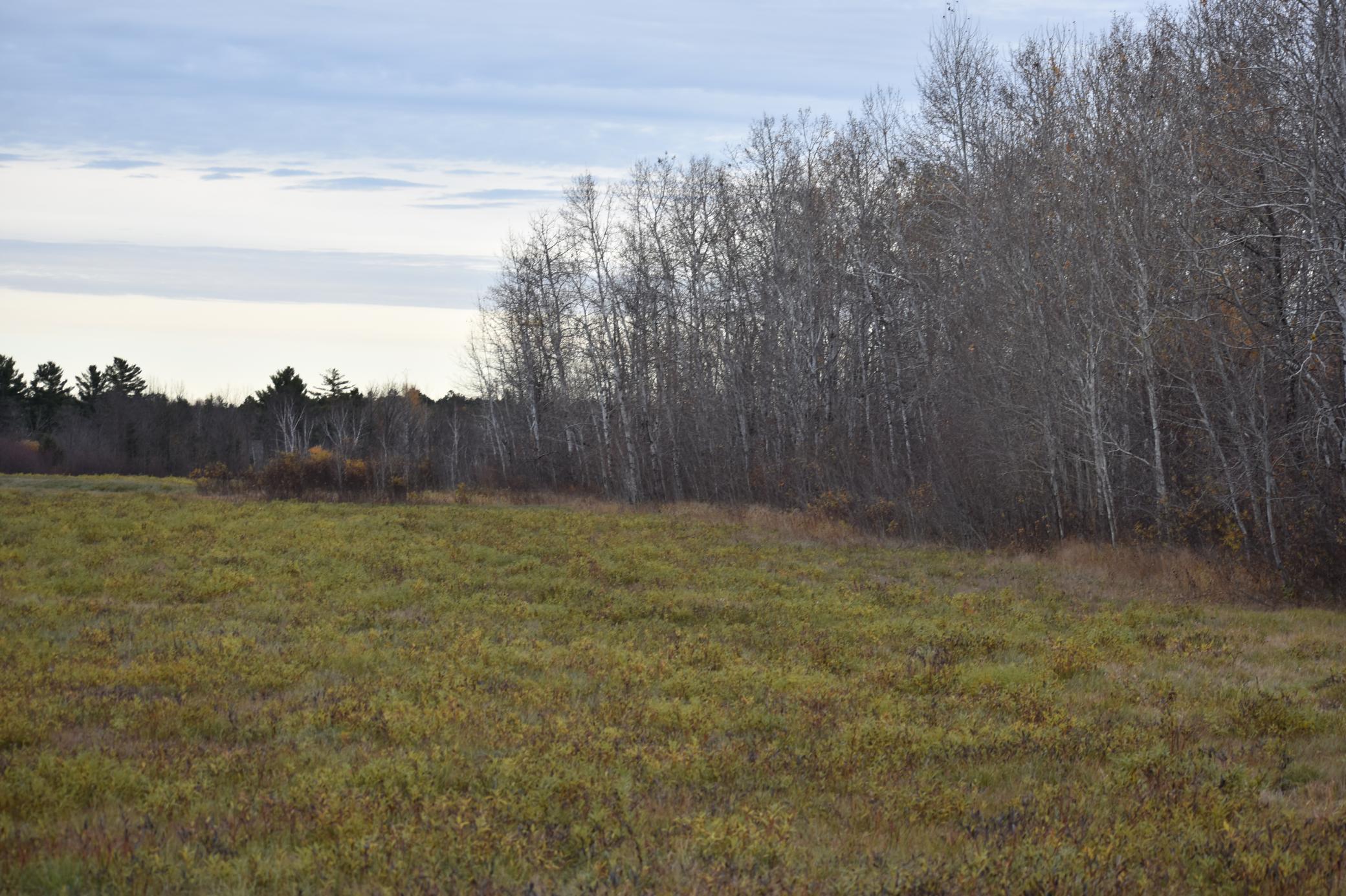 TBD 32nd Street SW