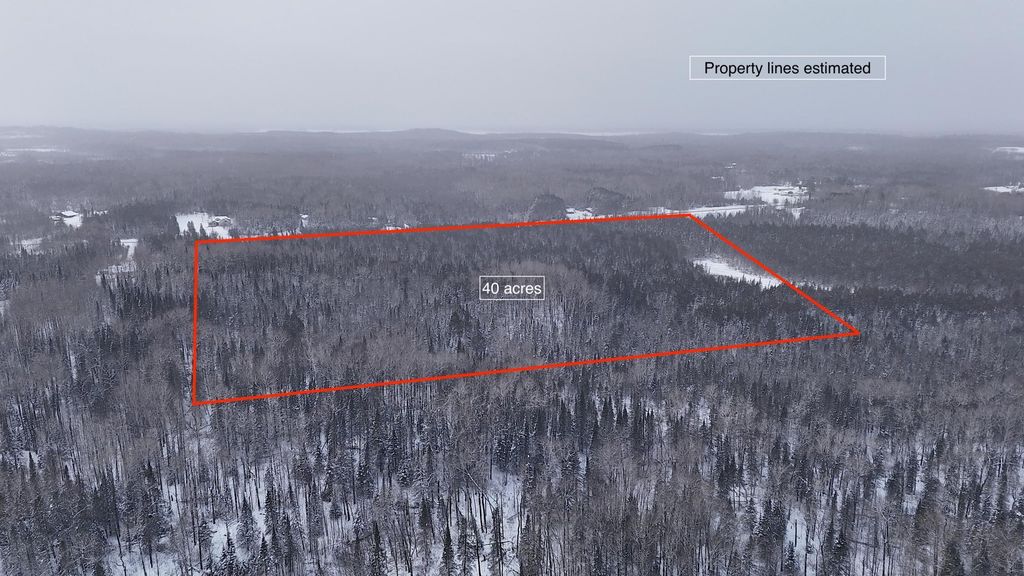 Photo of XX40 Lavaque Road, Duluth, MN 55802 (MLS # 7006928)