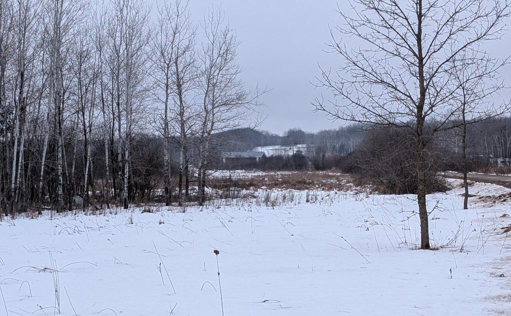 Photo of TBD Hummingbird Road, Long Prairie, MN 56347 (MLS # 7002813)
