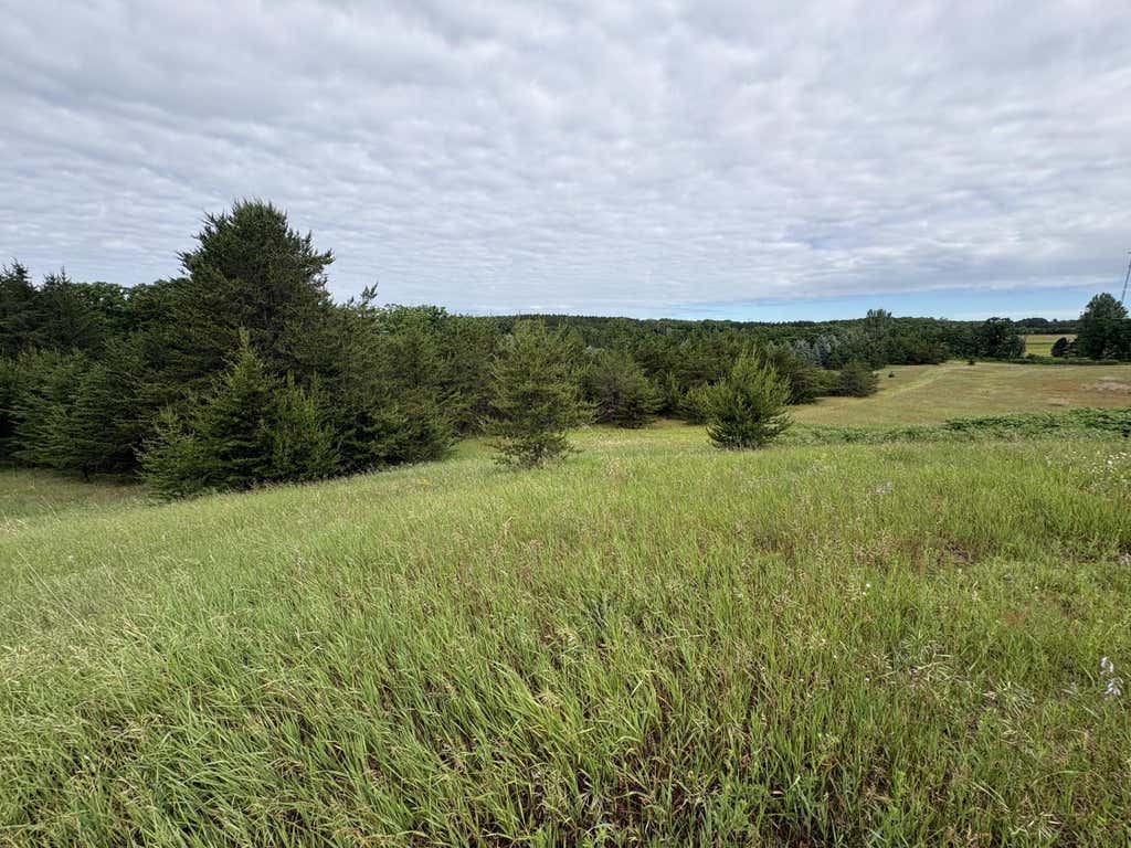 Photo of TBD 155th Avenue, Fort Ripley, MN 56449 (MLS # 7125705)
