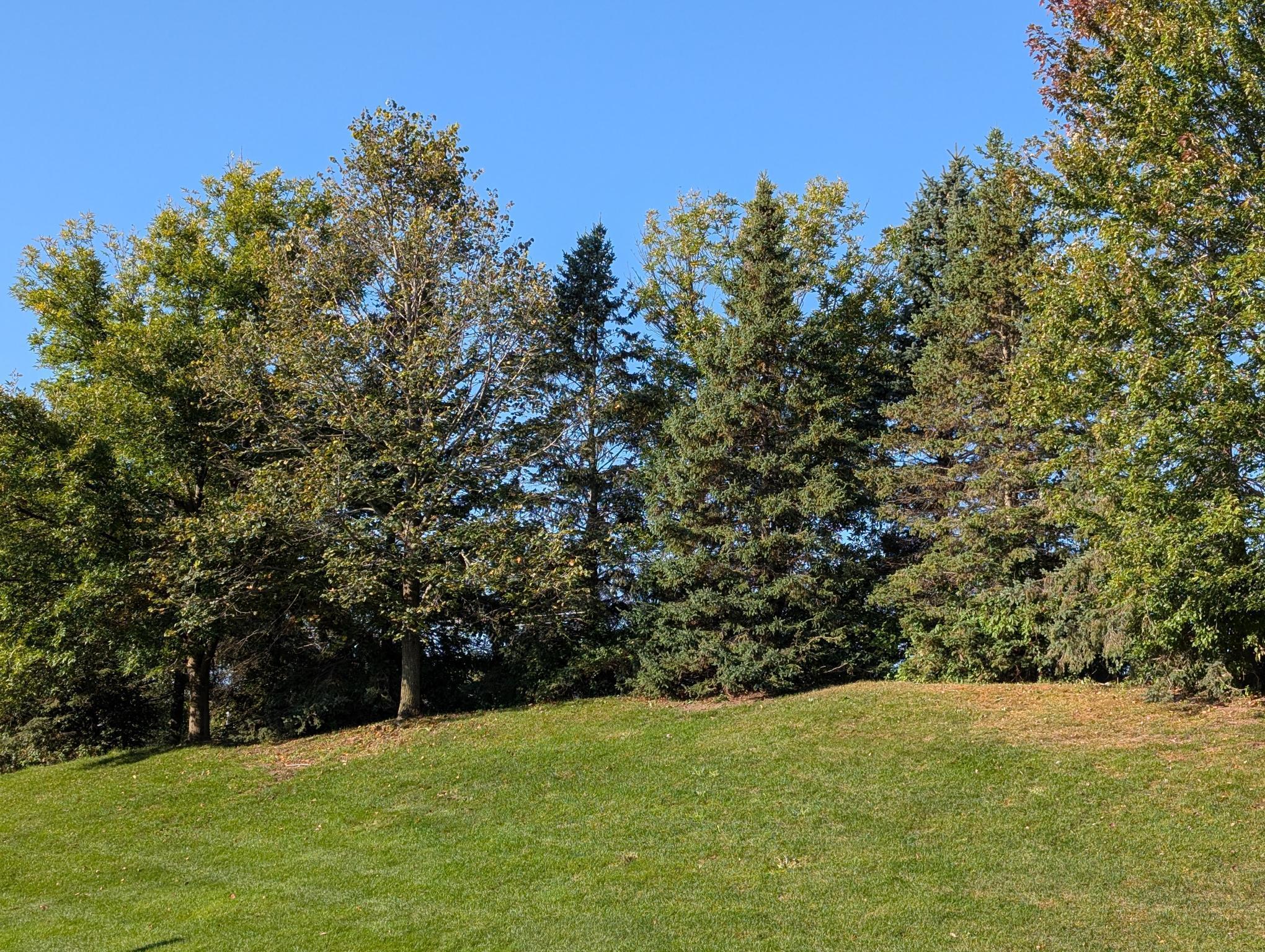 3804 Abercrombie Lane