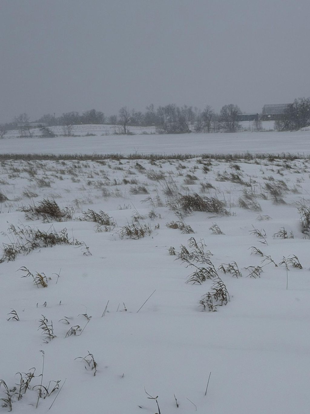 Photo of TBD 395th, Dent, MN 56528 (MLS # 7007704)