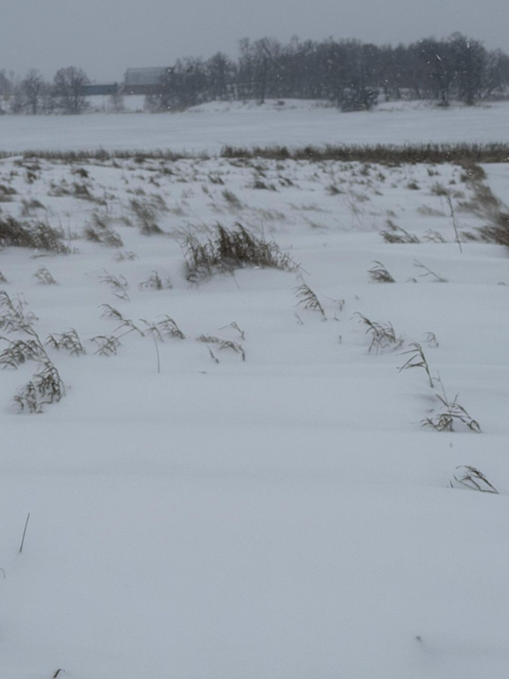 Photo of TBD 395th, Dent, MN 56528 (MLS # 7007704)