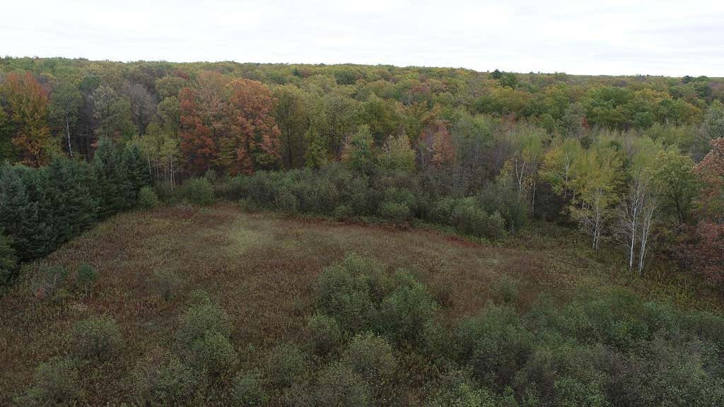 Photo of 0 20th Avenue, Cadott, WI 54727 (MLS # 7098803)