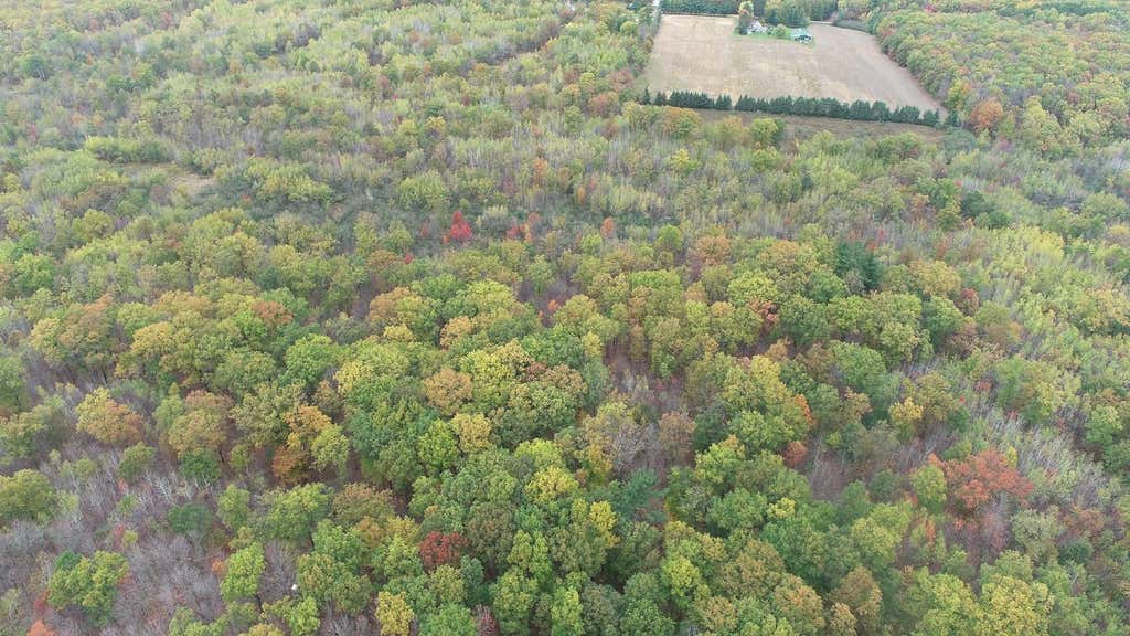 Photo of 0 20th Avenue, Cadott, WI 54727 (MLS # 7098803)
