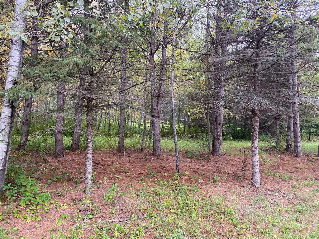 Photo of TBD LOT 13 Owl Avenue, Aitkin, MN 56431 (MLS # 7055972)