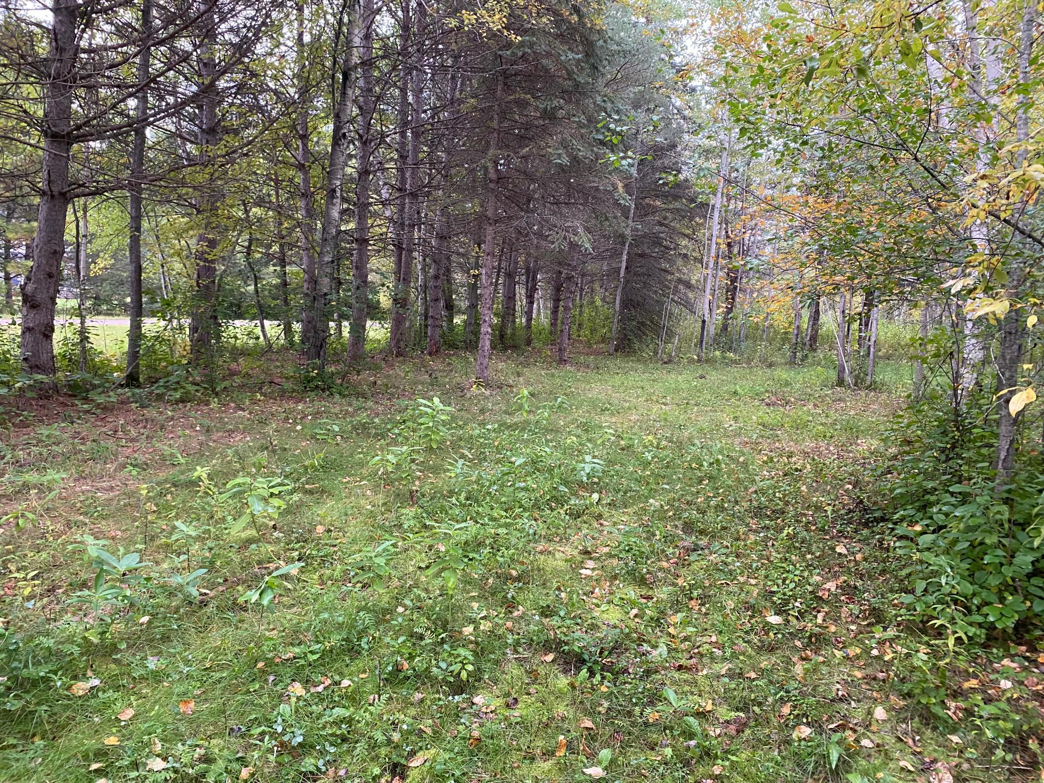 TBD LOT 13 Owl Avenue