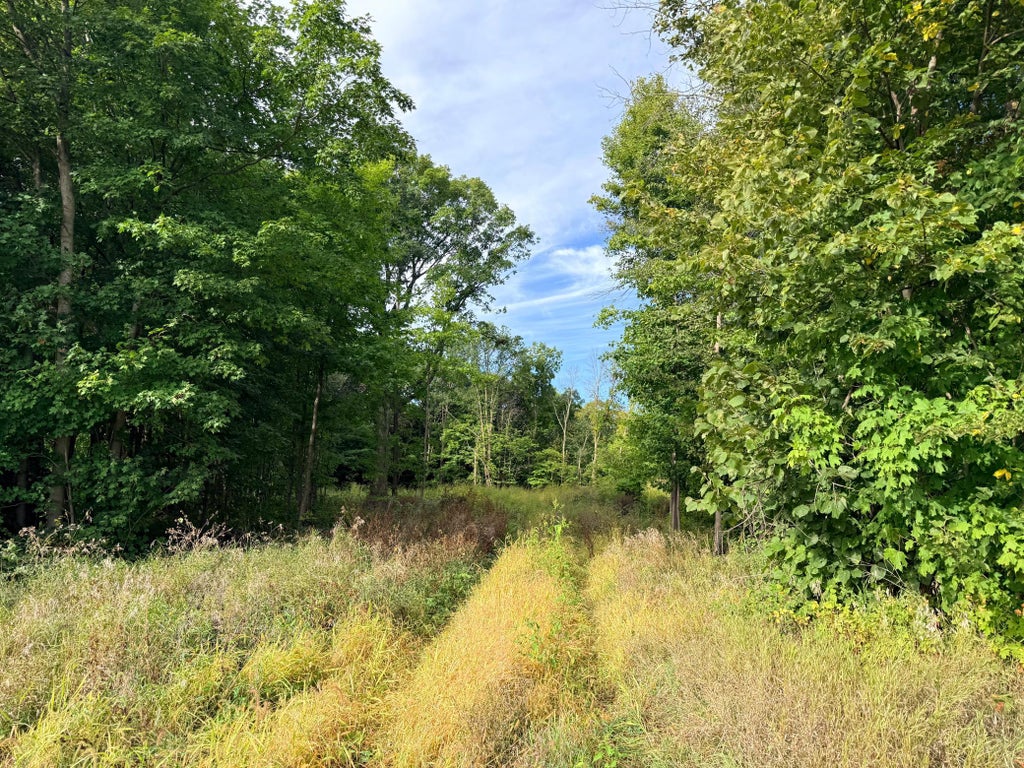 Photo of 0 Harlee Court LOT 3, Waconia, MN 55387 (MLS # 7144874)