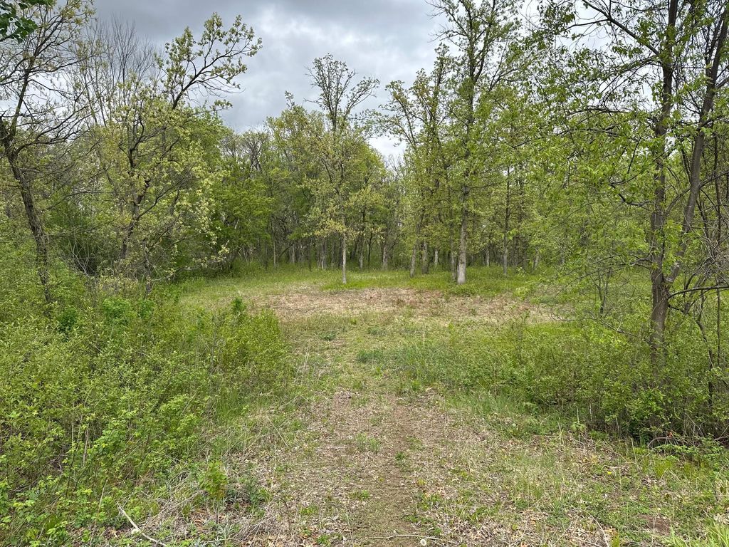 Photo of TBD NW 301st Avenue, Princeton, MN 55371 (MLS # 7077190)