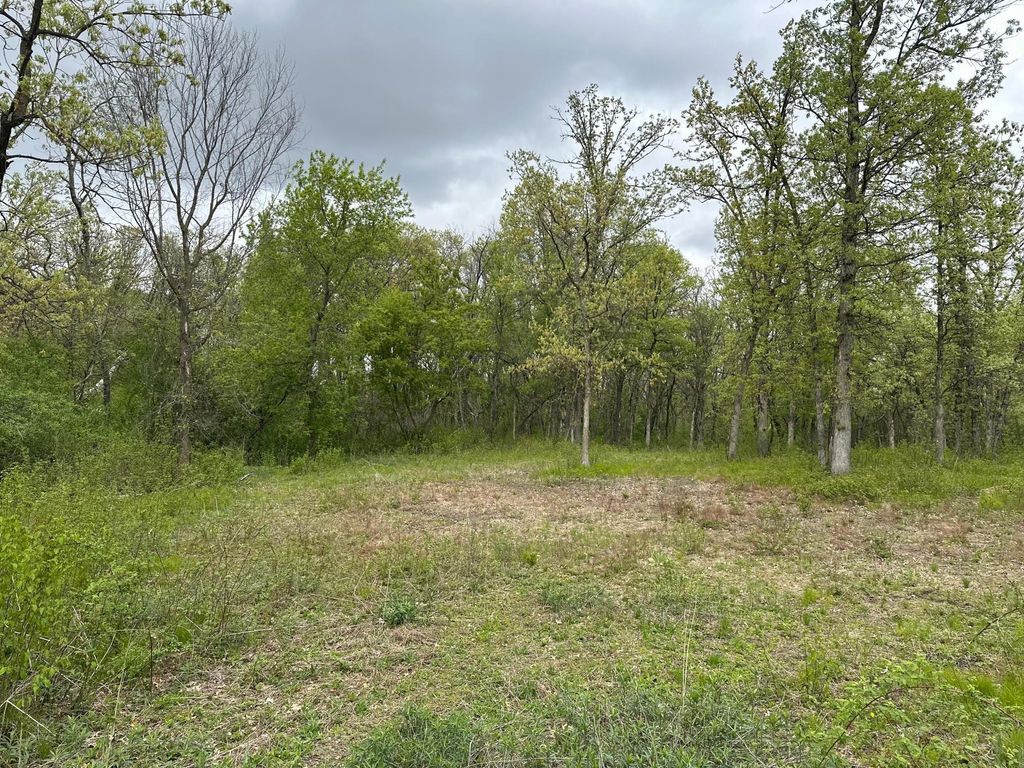 Photo of TBD NW 301st Avenue, Princeton, MN 55371 (MLS # 7077190)
