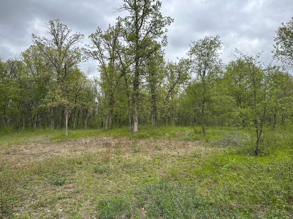 Photo of TBD NW 301st Avenue, Princeton, MN 55371 (MLS # 7077190)