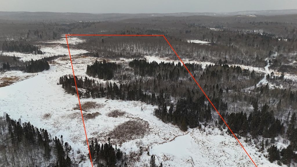 Photo of XXX Zekes Road, Schroeder, MN 55613 (MLS # 7010178)