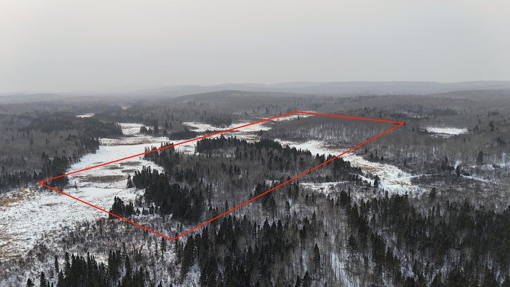 Photo of XXX Zekes Road, Schroeder, MN 55613 (MLS # 7010178)