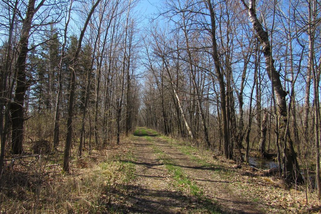 Photo of TBD County Road 41, Willow River, MN 55795 (MLS # 7092265)
