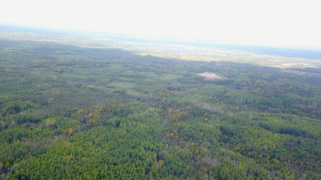 Photo of Tbd Industrial Avenue, Littlefork, MN 56668 (MLS # 7156484)