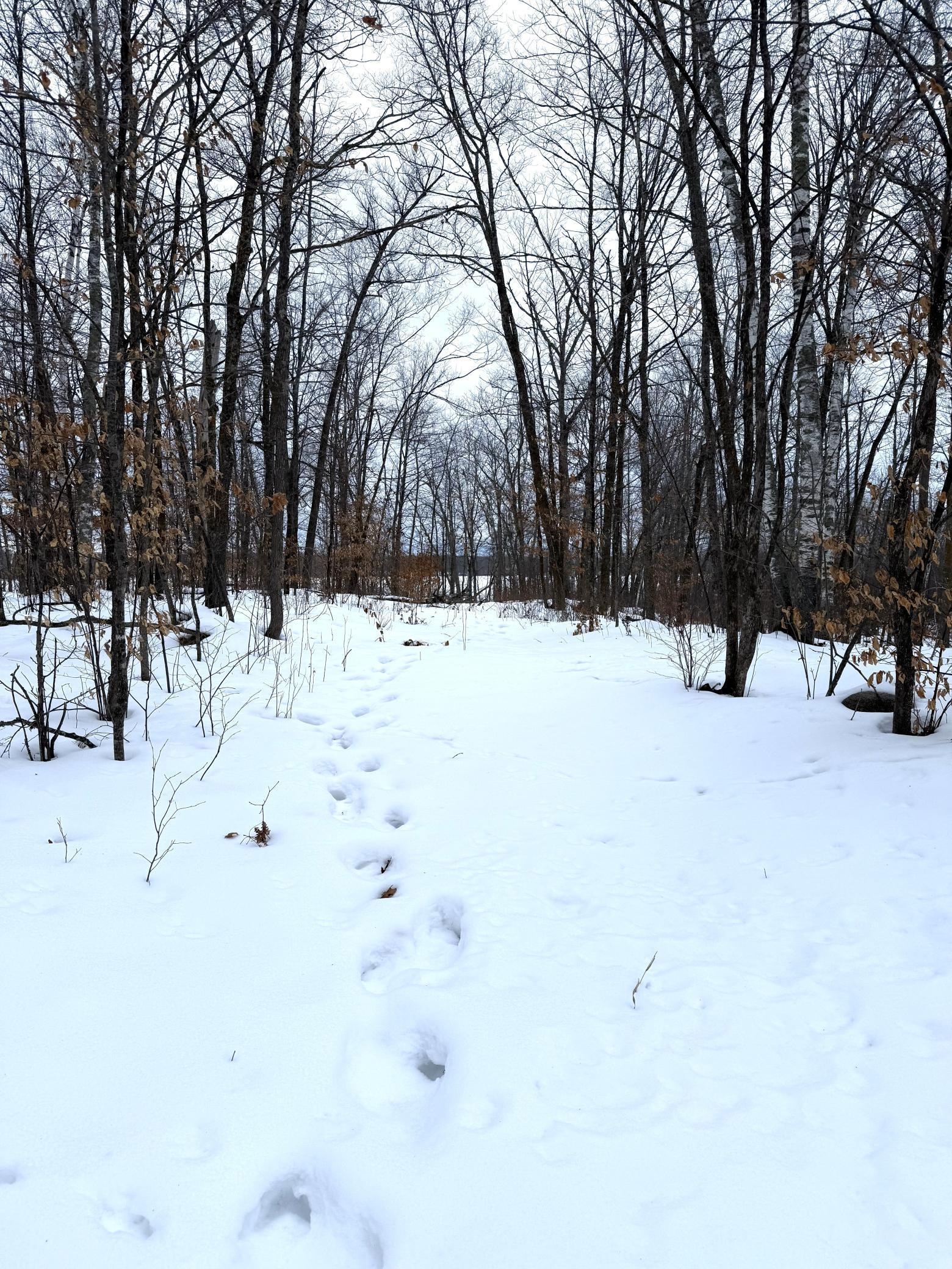 26744 Ross Lake Road