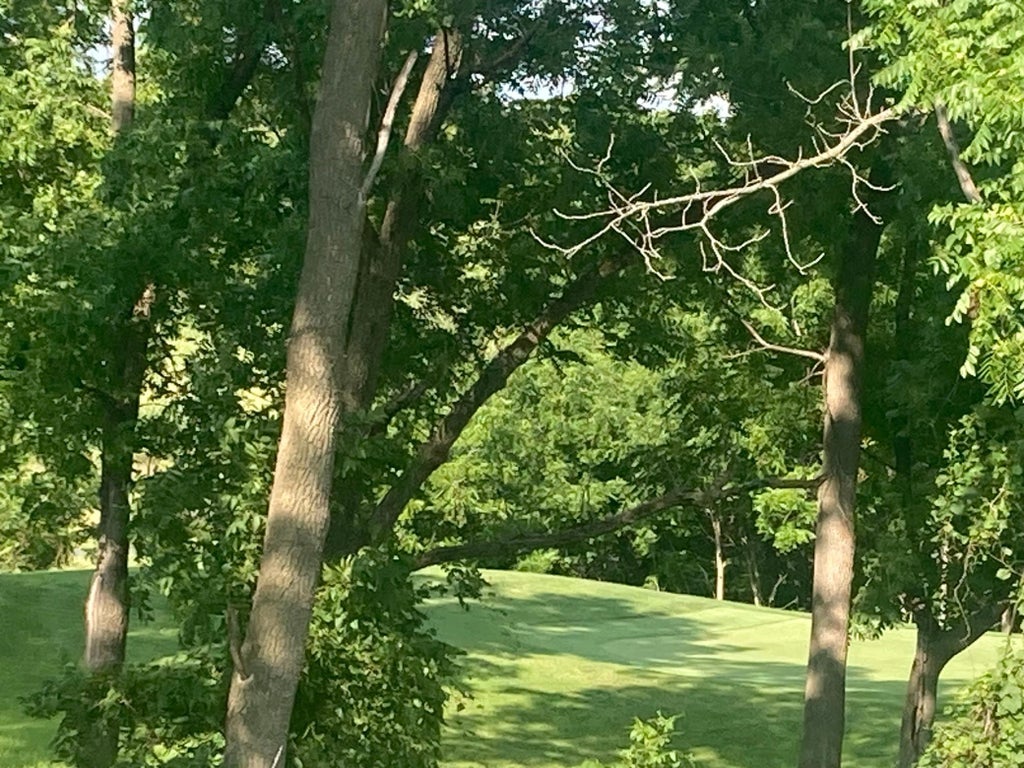 Photo of 505 Golfview Avenue, Zumbrota, MN 55992 (MLS # 7112187)