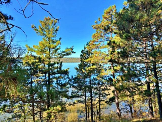 Photo of TBD Ironwood Drive, Park Rapids, MN 56470 (MLS # 7149647)