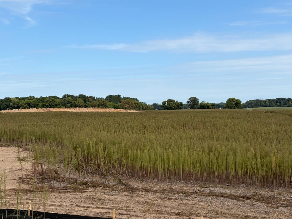 Photo of TBD (L10-SM East) Yellowpine Court NW, Isanti, MN 55040 (MLS # 7150387)