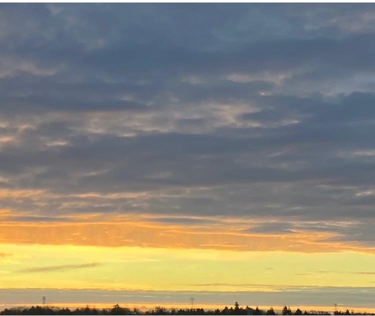 2601 Kenzie Terrace 330