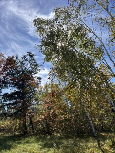 Photo of 307 Popple Drive SE, Bemidji, MN 56601 (MLS # 7166931)