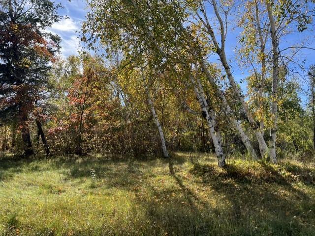 Photo of 307 Popple Drive SE, Bemidji, MN 56601 (MLS # 7166931)