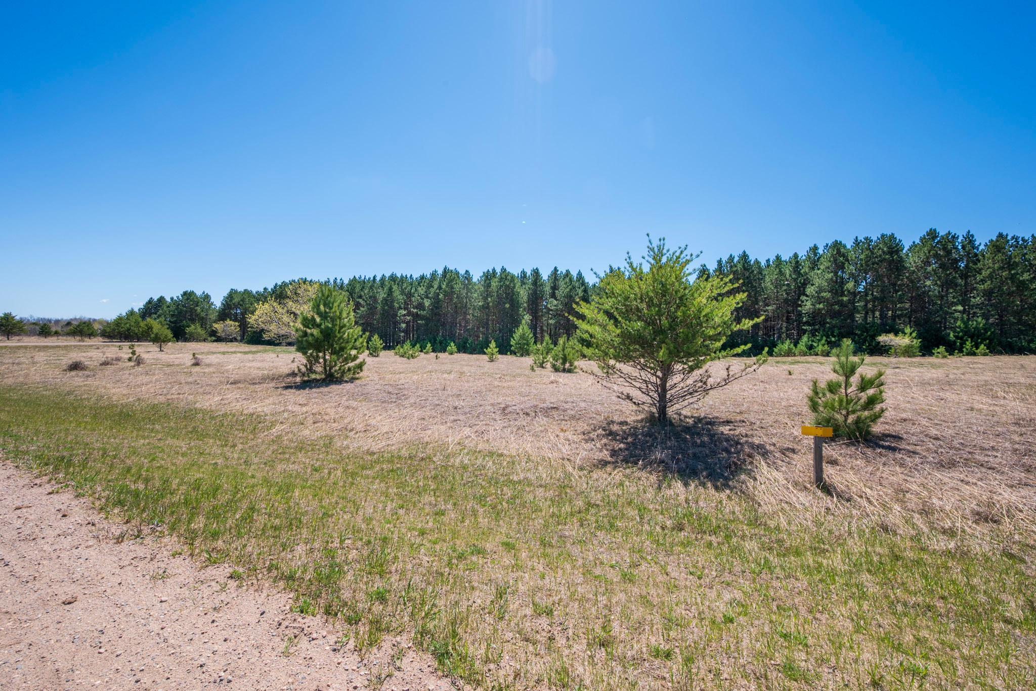 TBD Lot 3 Block 2 Deer Lane