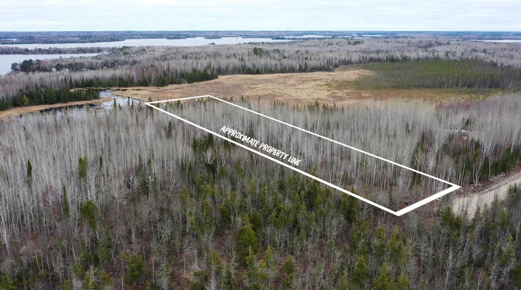 Photo of TBD Parcel 14 Hwy 115, Tower, MN 55790 (MLS # 7070200)