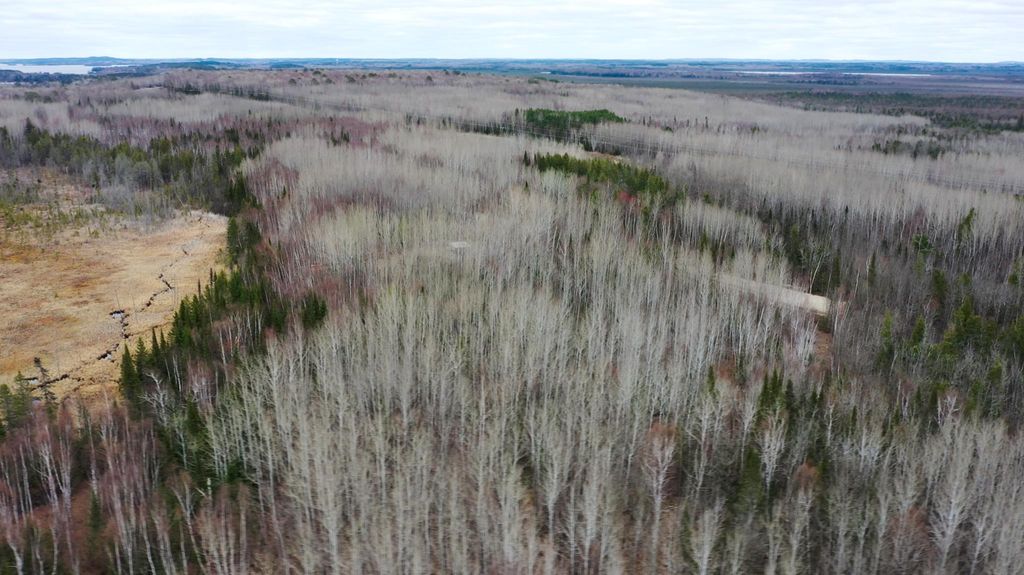 Photo of TBD Parcel 14 Hwy 115, Tower, MN 55790 (MLS # 7070200)