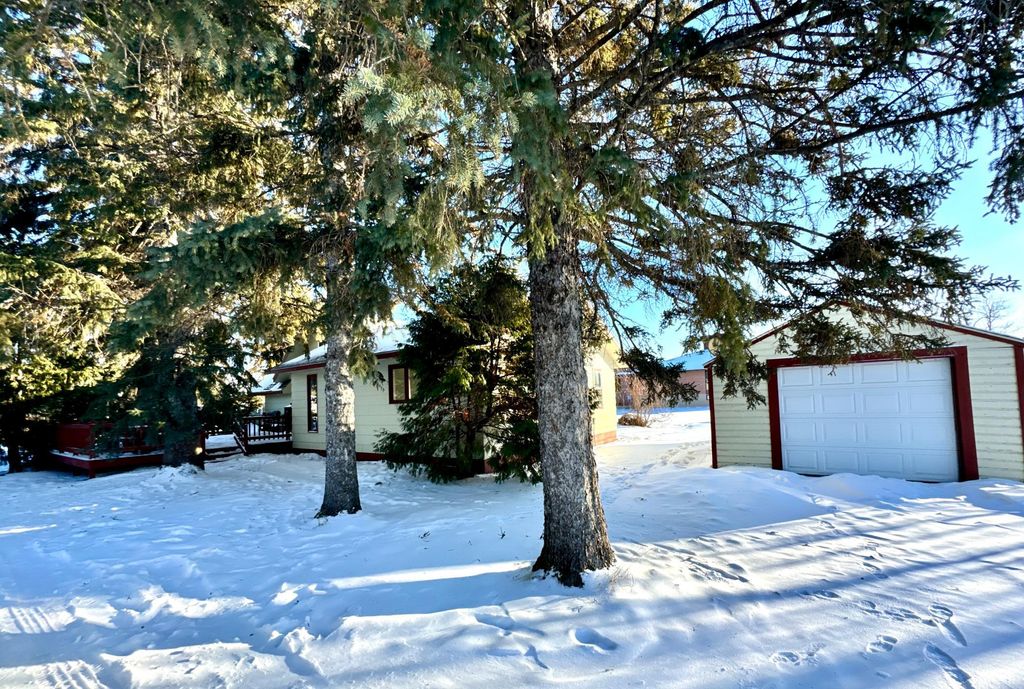 Photo of 409 Main Avenue N, Roseau, MN 56751 (MLS # 7014155)