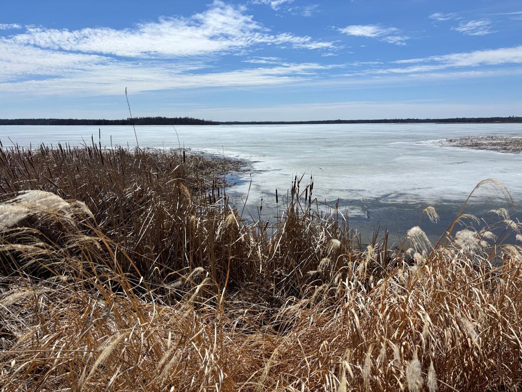 Photo of 18196 N Blackduck Lake Road NE, Hines, MN 56647 (MLS # 7008750)