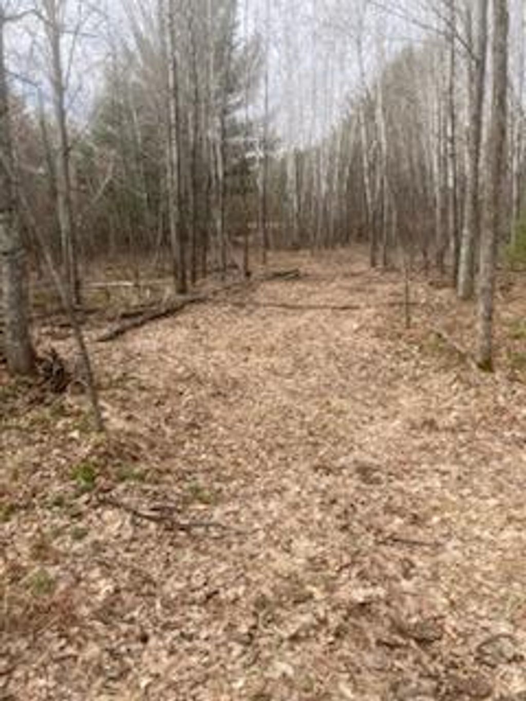 Photo of 249xx Gile Road, Grantsburg, WI 54840 (MLS # 7046562)