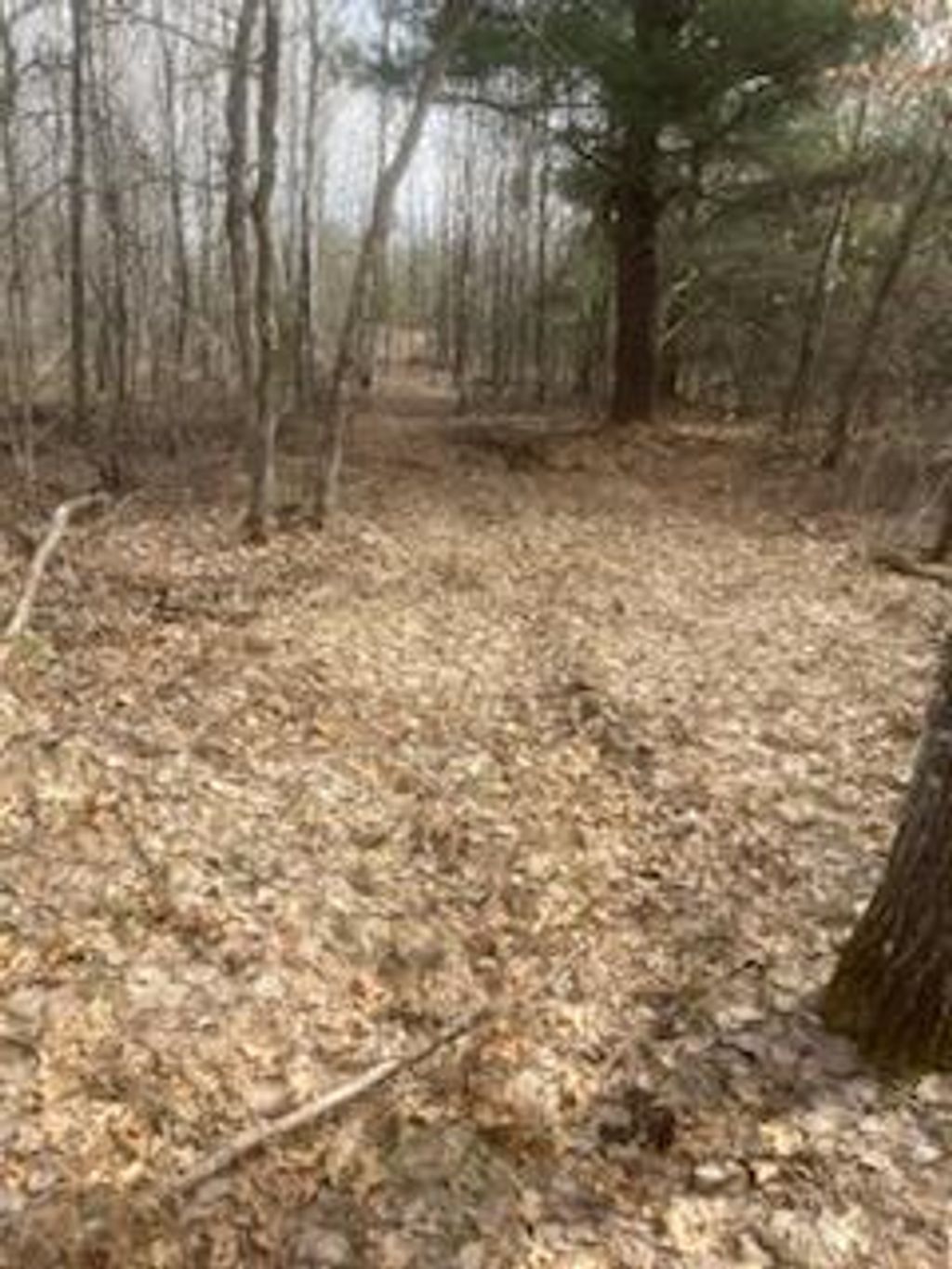 Photo of 249xx Gile Road, Grantsburg, WI 54840 (MLS # 7046562)