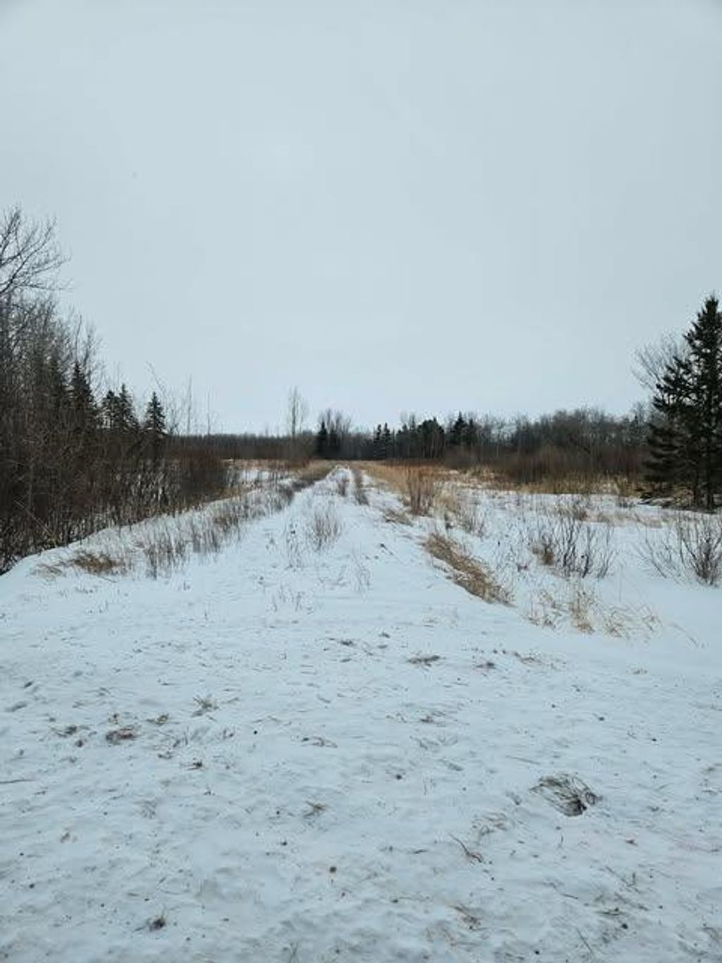 Photo of 10389 150th Street NW, Thief River Falls, MN 56701 (MLS # 7015038)