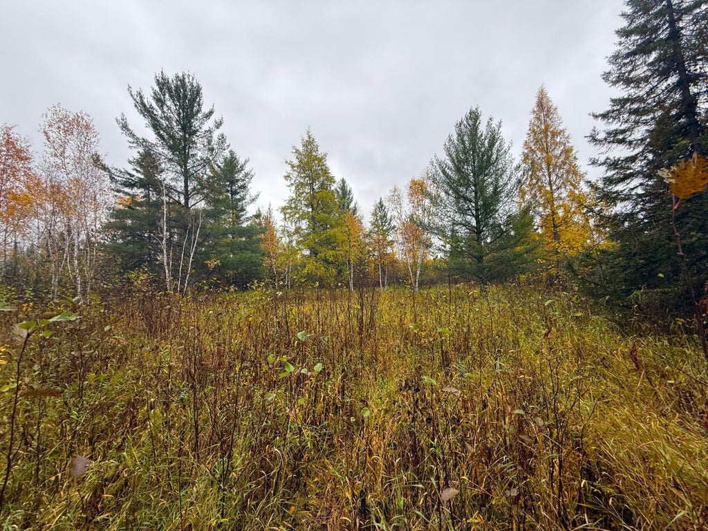 Photo of 75XX Metske Road, Eveleth, MN 55734 (MLS # 7161338)