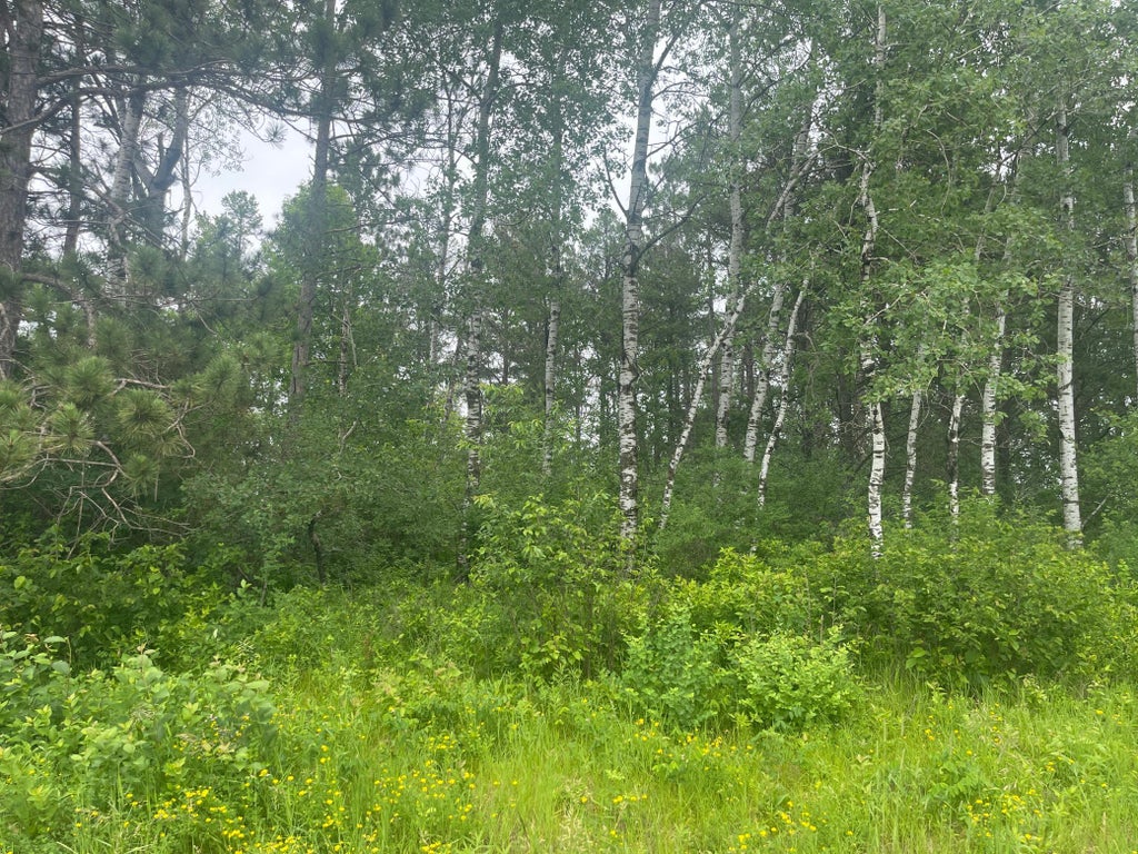 Photo of TBD Degerstrom Road, Askov, MN 55704 (MLS # 7100192)