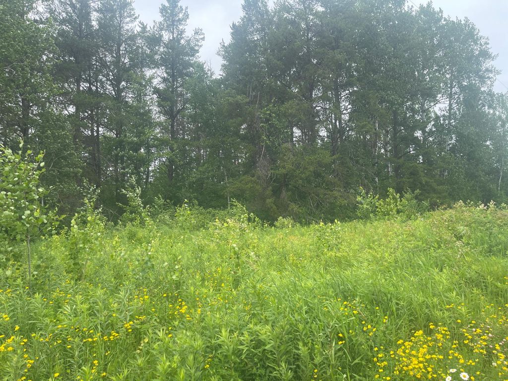 Photo of TBD Degerstrom Road, Askov, MN 55704 (MLS # 7100192)